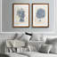 «Sea Coral Study III», ensemble de 2 reproductions d'art encadrées-1304782291-1304782284-1304782276