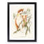 Leadbeater's Cockatoos by Elizabeth Gould - Picture Frame Painting Print-55581849-55581851