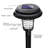 Droz Black Low Voltage Solar Powered Integrated LED Pathway Light Pack