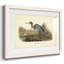 Audubons Blue Heron-1958654935-1958654934