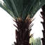 125cm Faux Palm Tree in Planter
