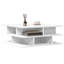 Pierina Frame Coffee Table-1579390997