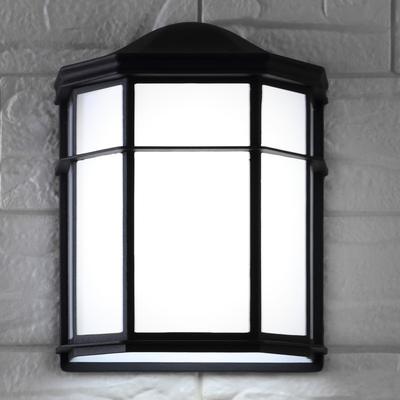 Madera LED Wall Light