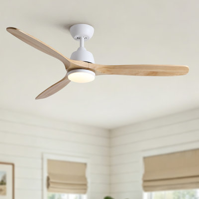 Ventilateur de plafond 52 po Homewood