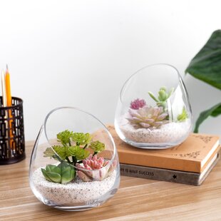  D'Eco Square Terrarium Display End Table w Reinforced