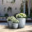 Lughan Handmade Pot Planter-589581533