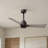 Alessandra 42'' Ceiling Fan-1421734447-1421734360