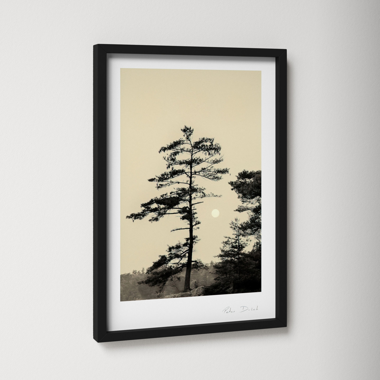 Serenity by Peter Dušek, Black, 20" H x 14" W x 1.25" D