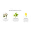 House & Home Fresh Cut Gardenia Scented Jar Candle-38053305