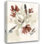 Art sur toile tendue, Astoria Grand Goldberger, Jennifer, "Dusty Flower Composition I"