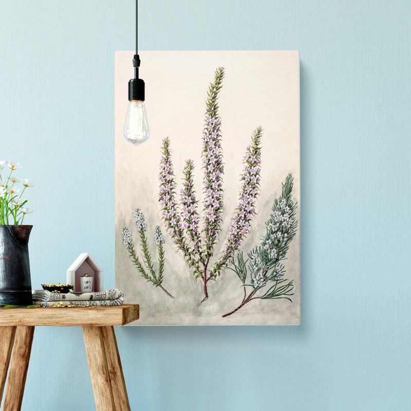 Epacris Flowers by Sarah Featon - Wrapped Canvas Painting, 50cm H x 35cm W x 3cm D