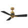 ATTICUS 42'' Ceiling Fan with LED Lights