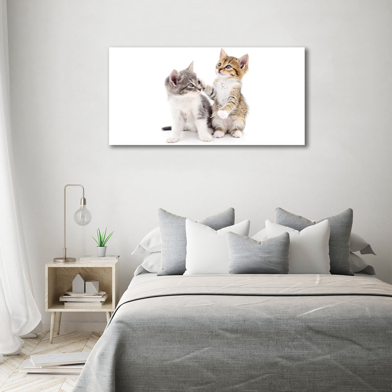 Two Small Cats - Print, Canvas, 70cm H x 140cm W x 2cm D