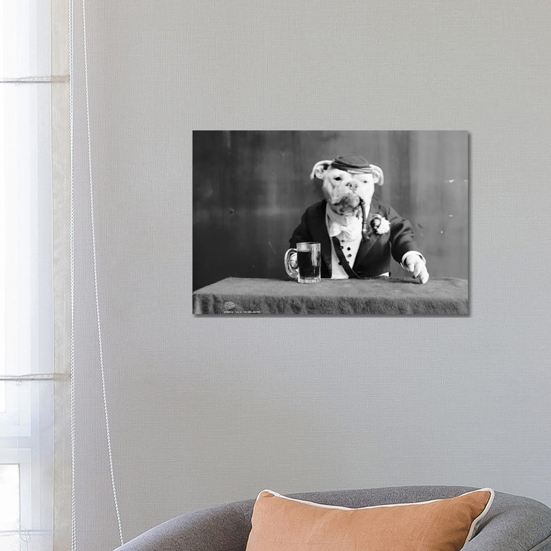 Bulldog, C1905 - Wrapped Canvas Print, 66.04 cm H x 45.72 cm W x 1.91 cm D