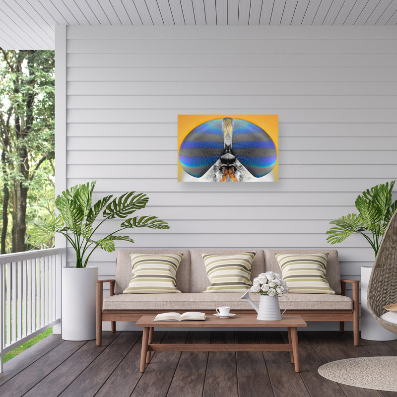 «Fly On Yellow on Canvas» par Donald Jusa, reproduction, H 30 po x l 47 po