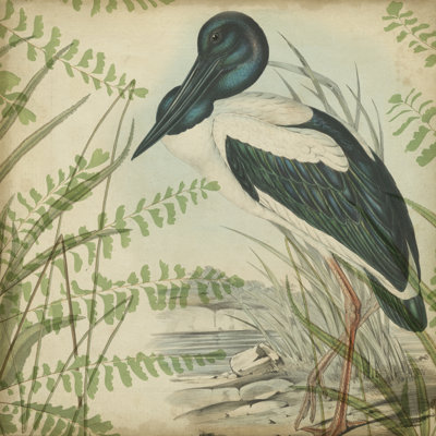 Heron And Ferns I by Vision Studio - Wrapped Canvas Painting