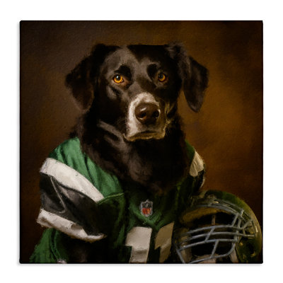 «Football Star Dog», art mural par Sean Parnell
