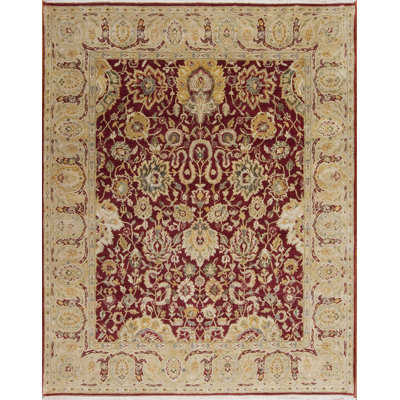 Passions Hand Knotted Wool Indoor Rug