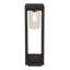 Currey Black Pathway Light-1915579352