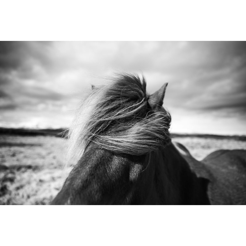 Wrapped Canvas Print, 50.8 cm H x 76.2 cm W