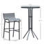 Ensemble bistro d'extérieur élégant pour 2 personnes, comprenant une table de bar ronde et 2 chaises de bar, au design confortable et à la construction robuste.-210499512