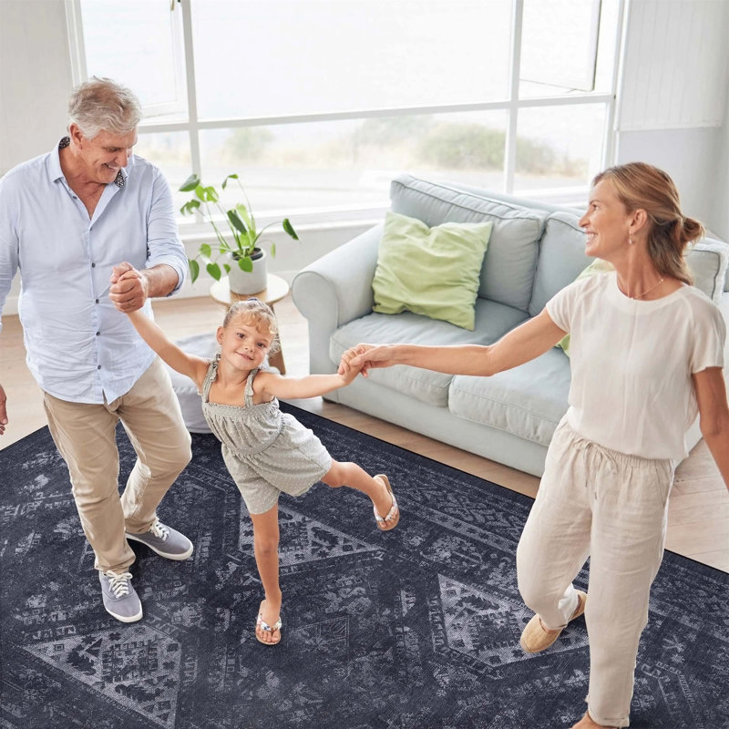 Fontanes Rug, Rectangle 6' x 9'
