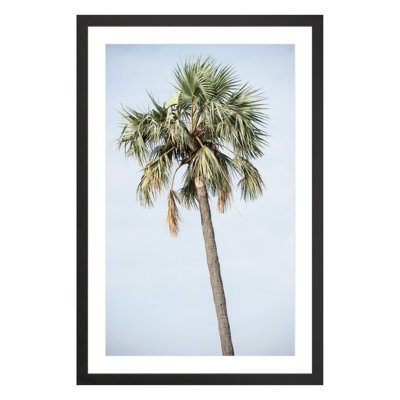 Plants & Flowers Print