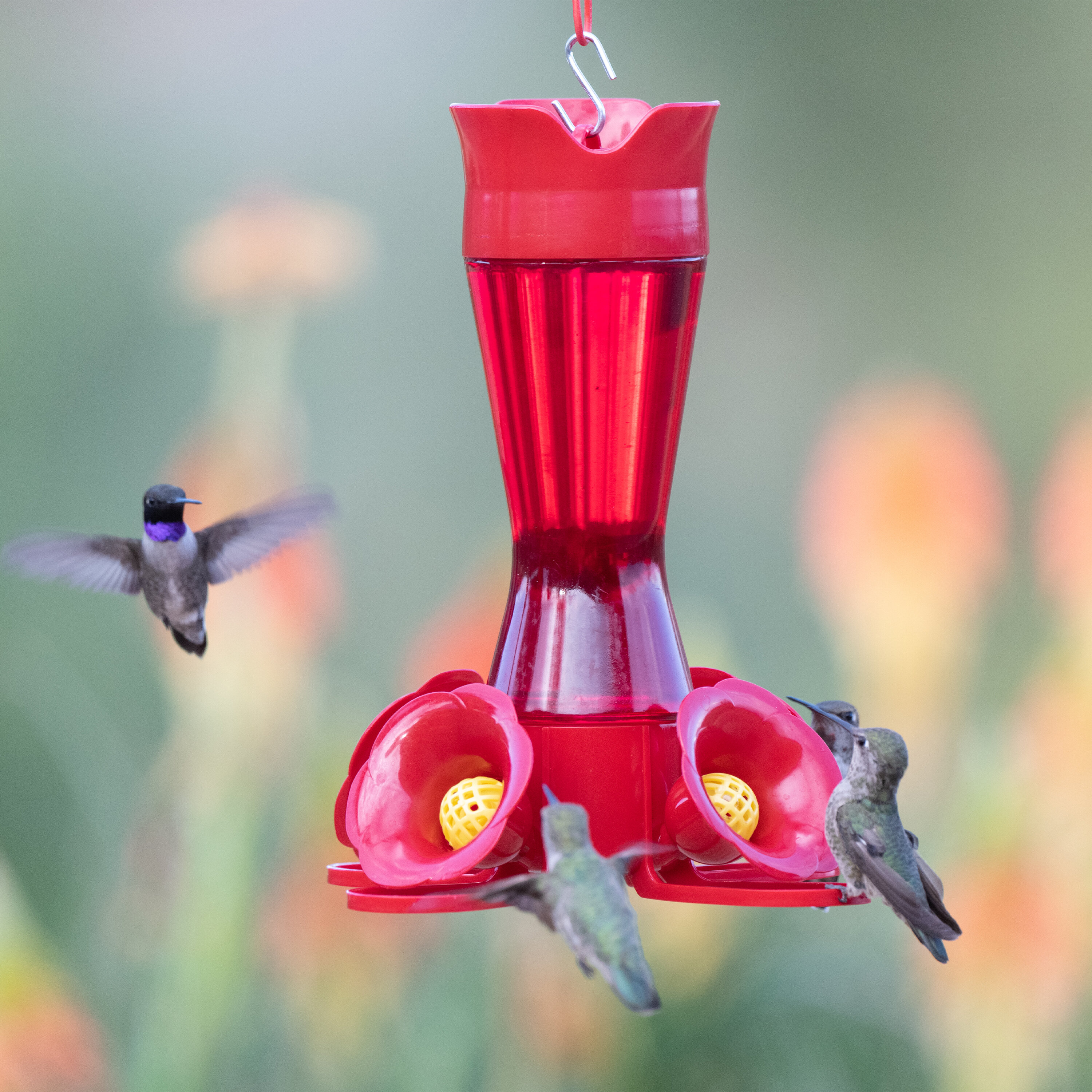 Bay Isle Home™ Elsass Plastic Pinch Waist Nectar Hummingbird Feeder ...