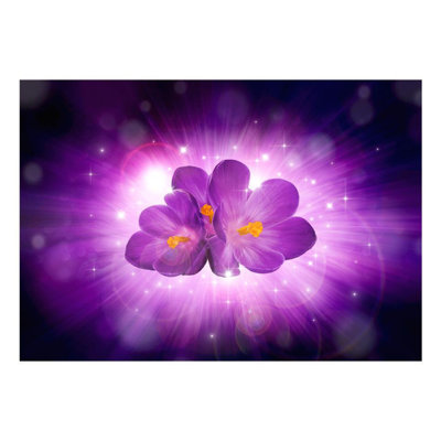 Floral Wall Mural