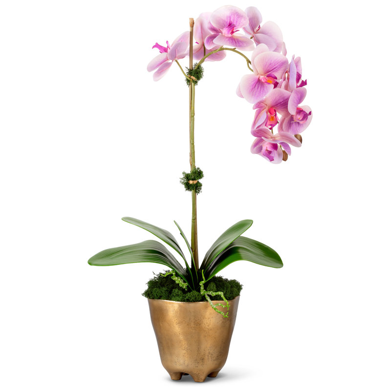 Axel Realtouch Orchid Arrangement, Purple