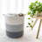 Breakwater Bay Cotton Rope Decorative Basket