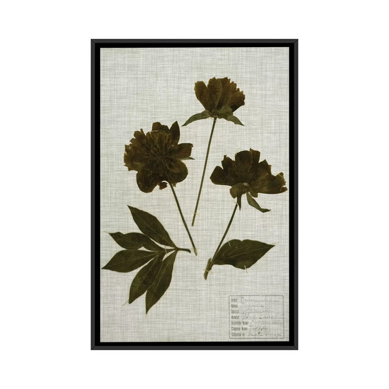 « press leaves on linen ii », impression sur toile, Toile avec cadre noir, H 26 po x l 18 po x P 1,5 po