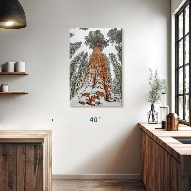 Harnek Wintry Sequoia Tree, 36" H x 24" W