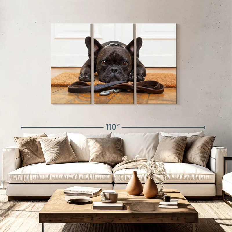 Bouledogue français en attente, H 48 po x l 74 po