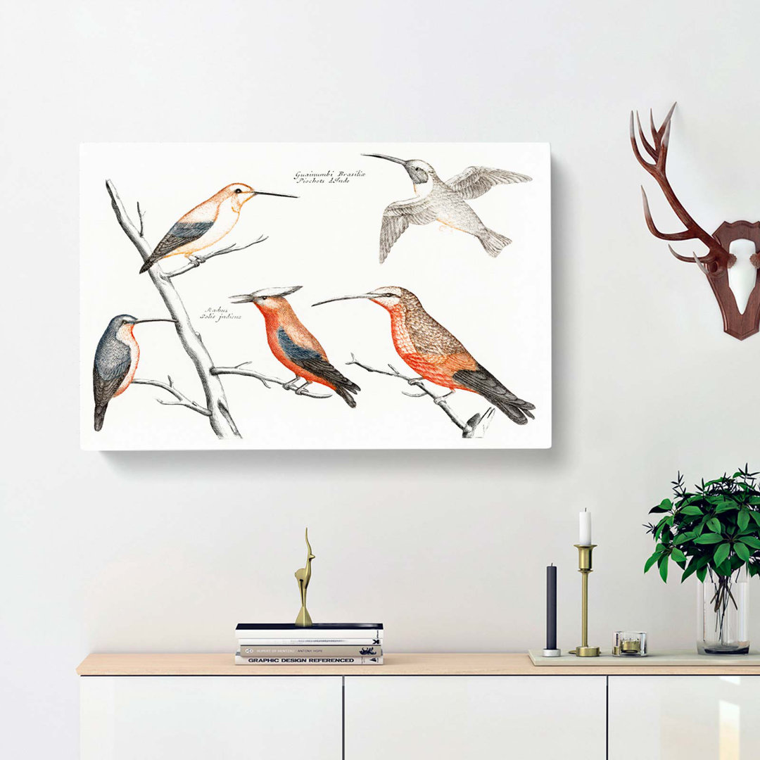 Five Hummingbirds by Johan Teyler - Wrapped Canvas