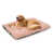 Rose est en rupture de stock