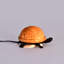 Ensemble de lampe de table 4"