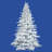 54' Spruce Christmas Tree