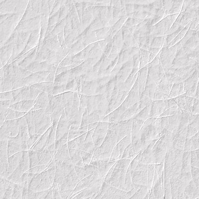 Rouleau de papier peint de L 396 po x L 20,9 po Tatdillo de Sverre