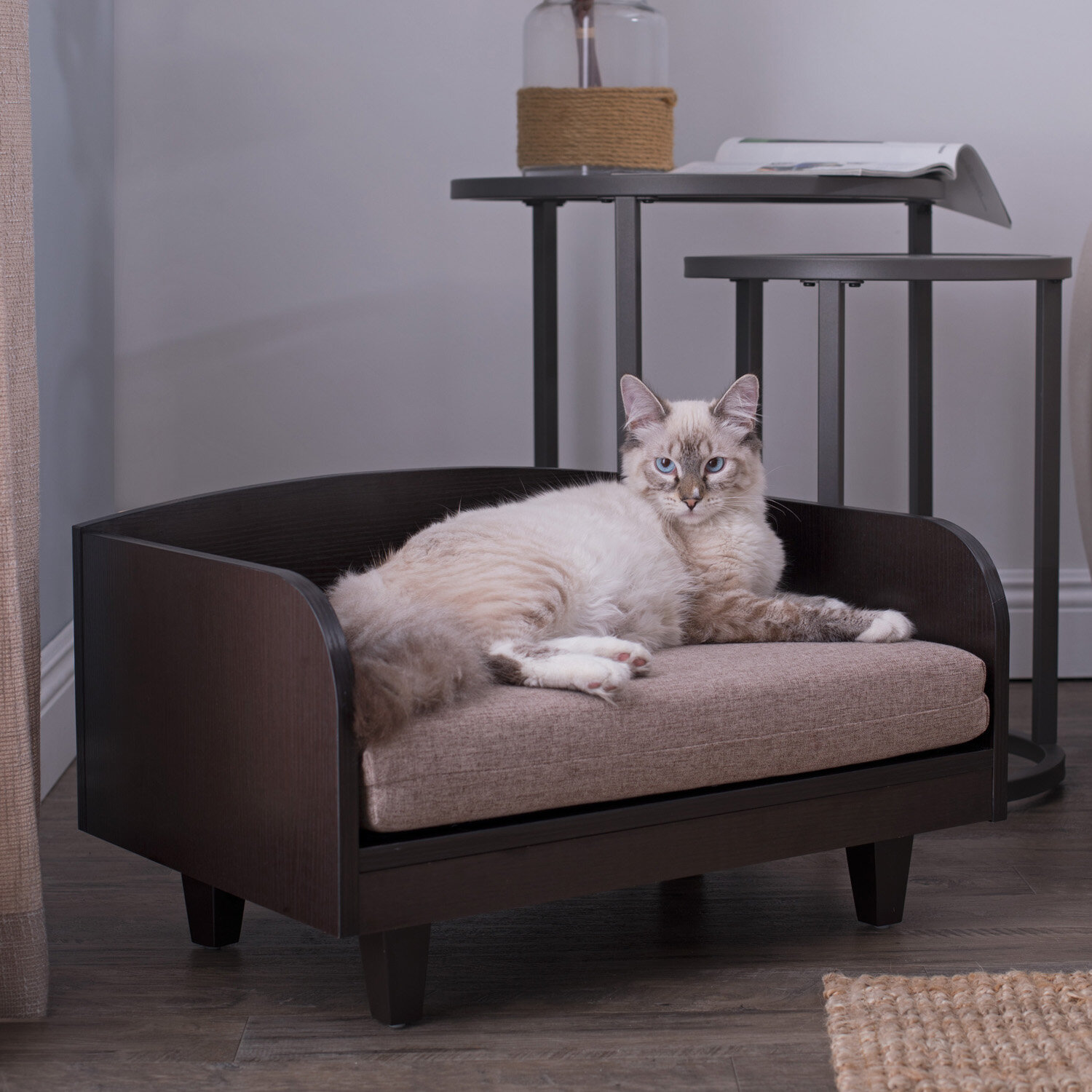 Zipcode Design™ Howton Raised Dog Sofa & Reviews | Wayfair