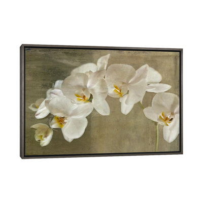 " Painted Orchid "