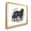 « Terre-Neuve »-impression sur toile-1727482643-1727482646