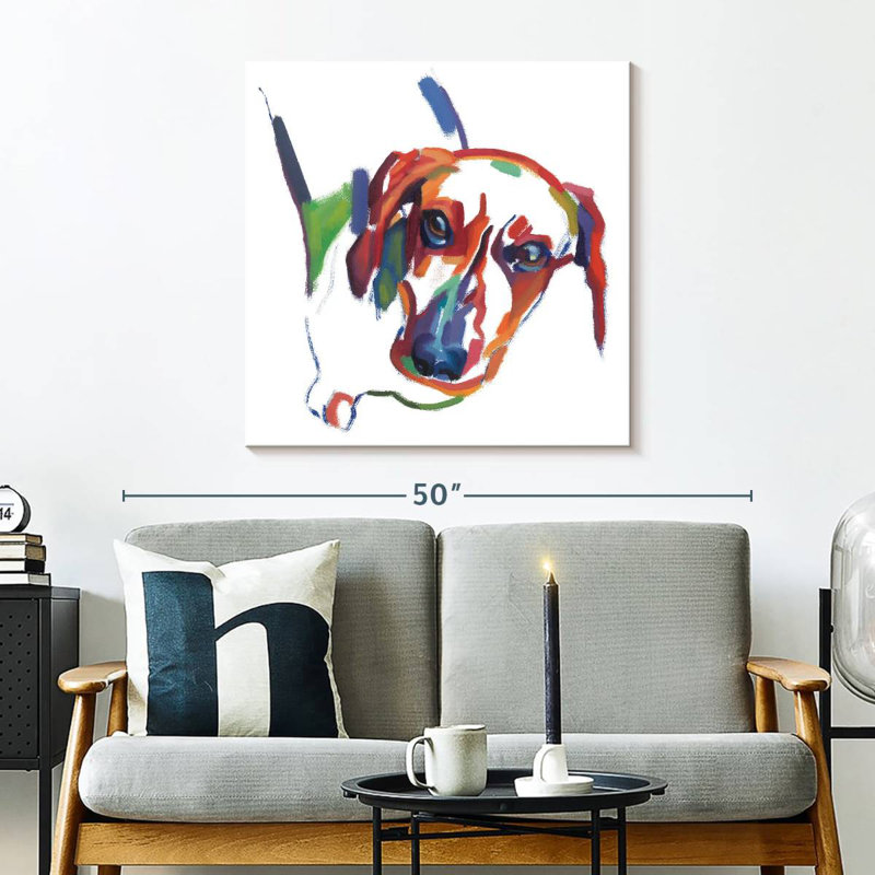 Crowle Dachshund Couleurs