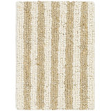 Striped Area Rug