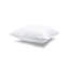 Solid Sterilized Extra Fill Square Pillow Insert-1618863851