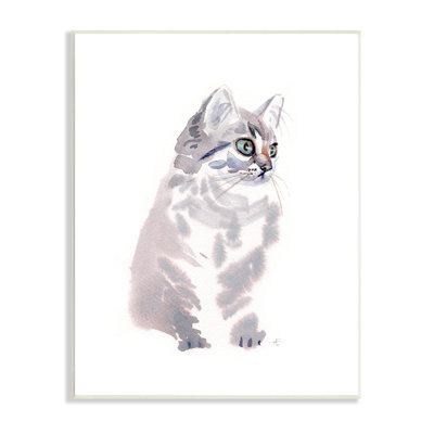 " Grey Shorthair Kitten Portrait Minimal Pet Cat "