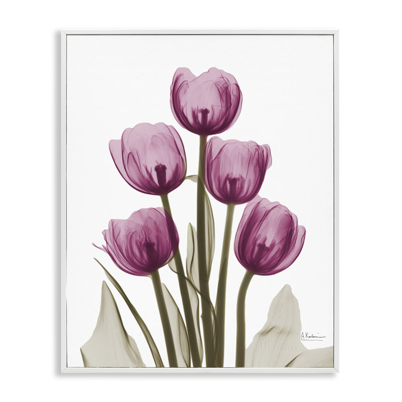 Photographie de tulipes roses aux rayons X sur toile, H 30 po x l 24 po x P 1,5 po