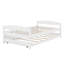Lit plateforme simple avec lit gigogne-451656801