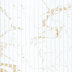 Carrara Marble