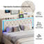 Haynoski Upholstered Ottoman Storage Bed